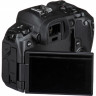 Камера Canon EOS R Body (3075C065)