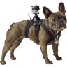 Крепление для собаки GoPro Fetch Dog Harness (ADOGM-001)