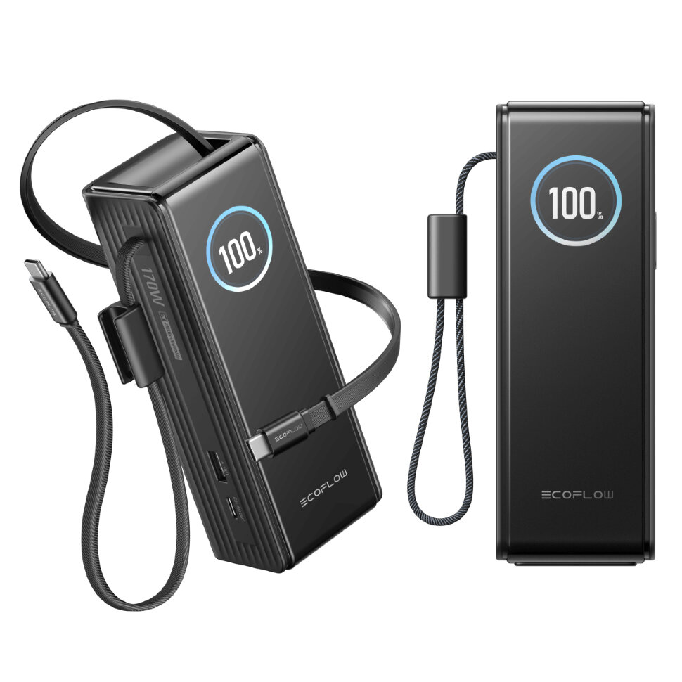 Повербанк EcoFlow RAPID Pro сріблястий, з кабелями (25000 мА·год, 170 Вт) (EF-RAPID25K100W-S-EU)