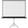 Экран для проектора XGIMI 100" дюймов (XGIMI-100Inch-SCREEN)