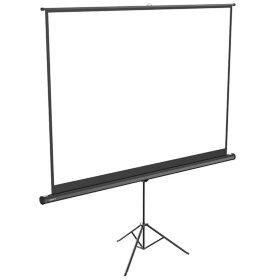 Экран для проектора XGIMI 100&quot; дюймов (XGIMI-100Inch-SCREEN)