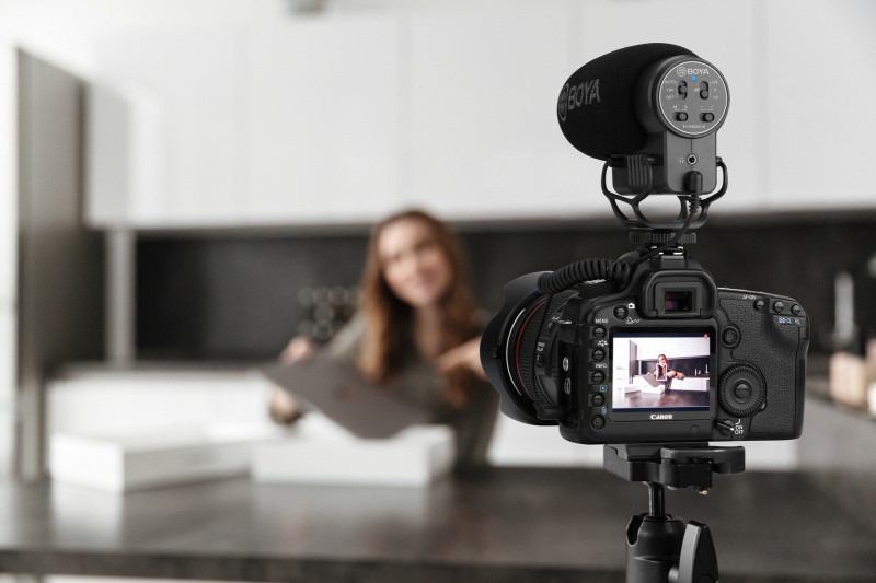 Микрофон-пушка Boya BY-BM3051S (196884)