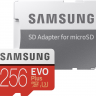 Samsung microSDXC 256GB EVO Plus UHS-I Class 10 + SD-Адаптер (MB-MC256HA/RU)