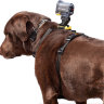 Крепление на собаку MSCAM Dog Harness (AKA-DM1)