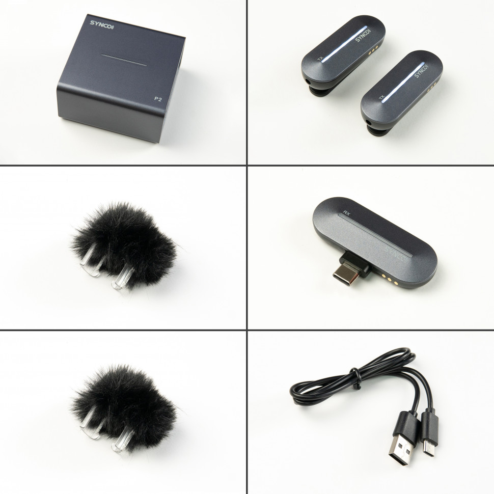 Радіосистема Synco P2S Type-C
