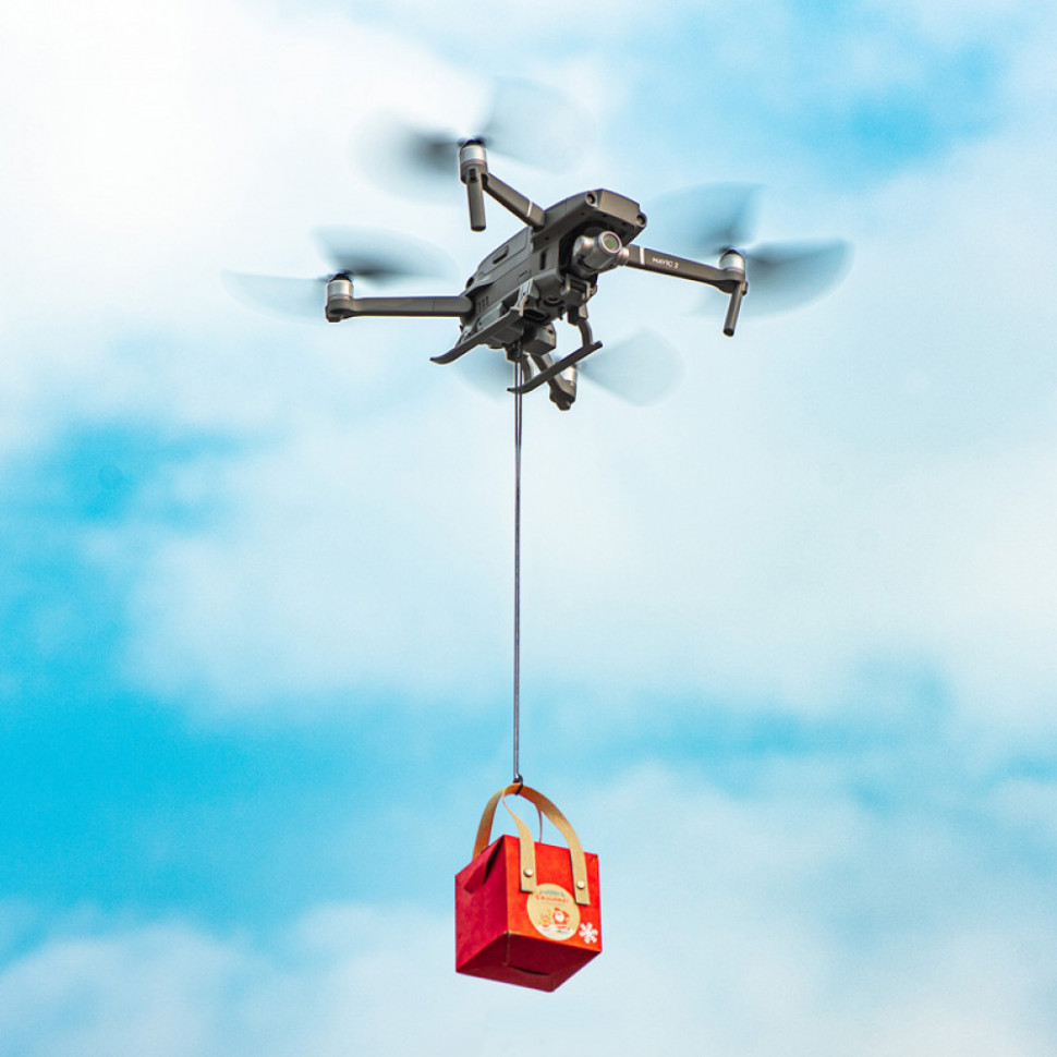 Система скидання вантажу StartRC для квадрокоптера DJI Mavic 2 (1109923)