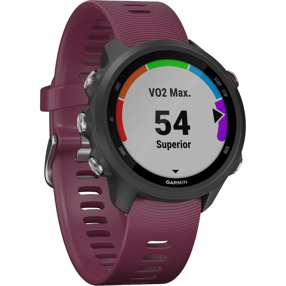 Спортивные часы Garmin Forerunner 245