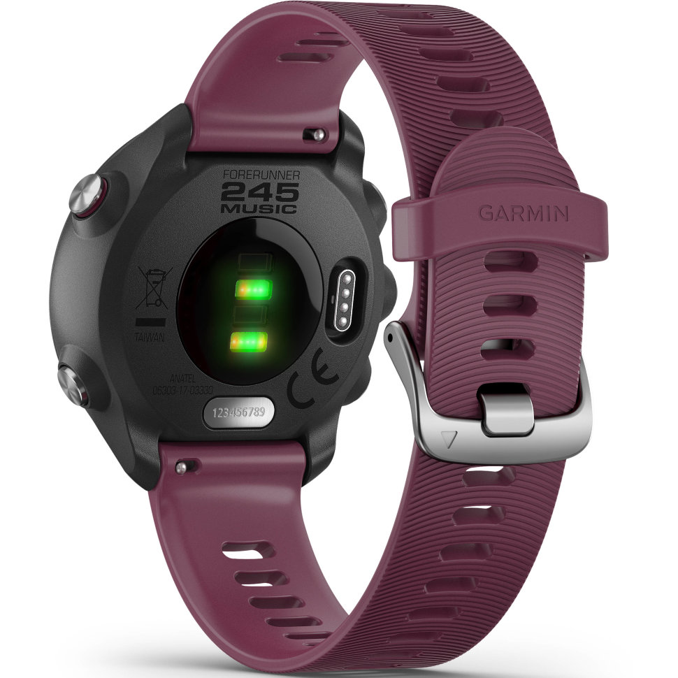 Спортивные часы Garmin Forerunner 245