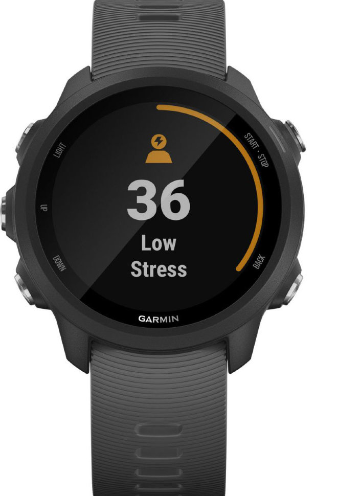 Спортивные часы Garmin Forerunner 245