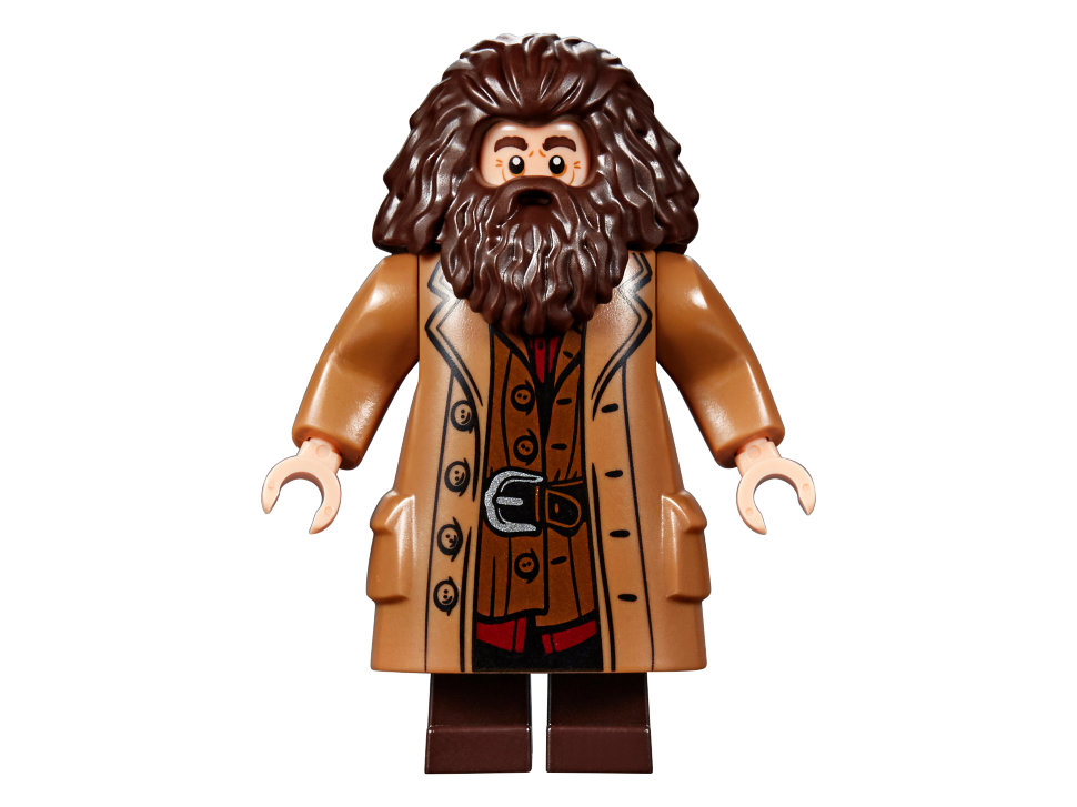 Конструктор Lego Harry Potter: великий зал Хогвартса (75954)