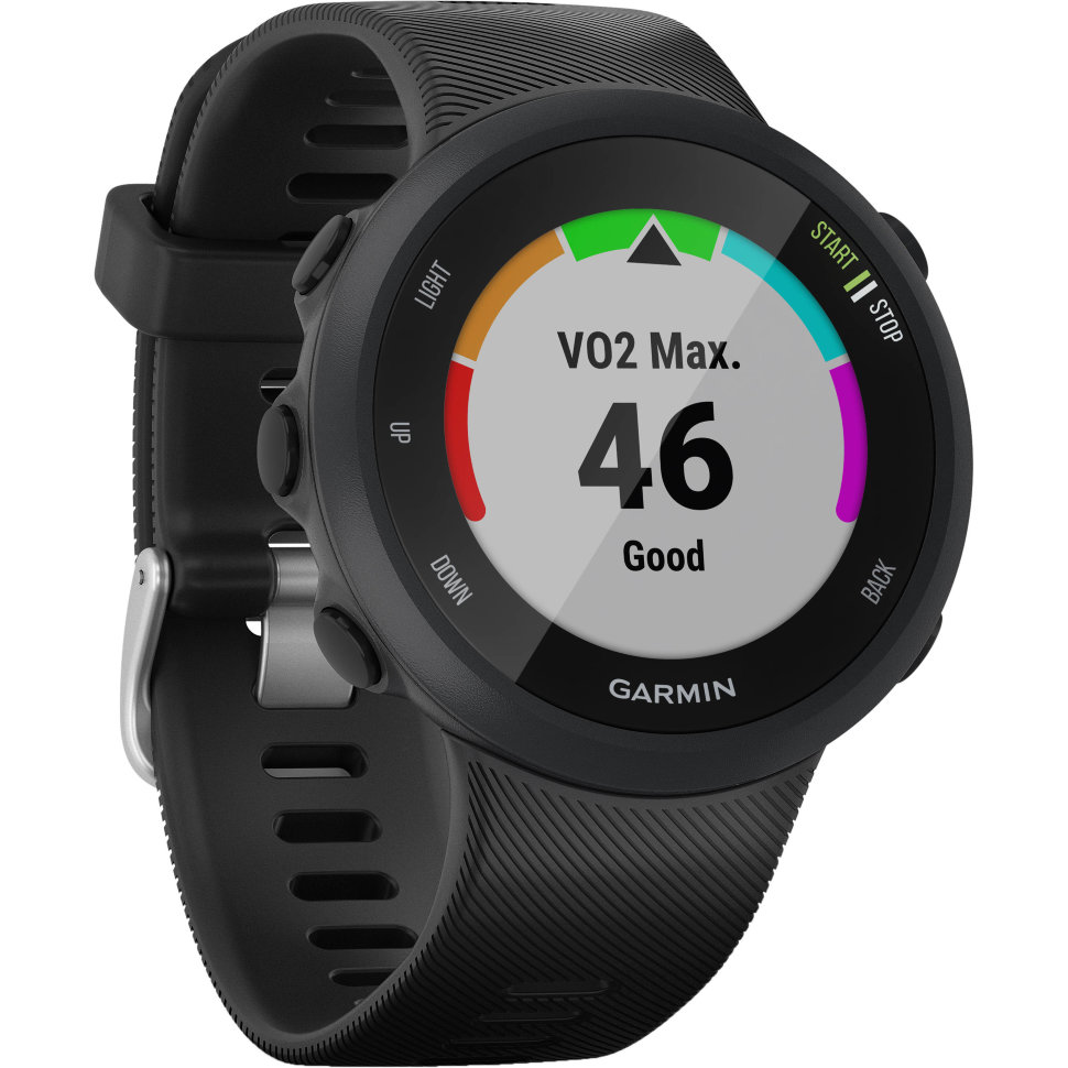 Спортивні годинник Garmin Forerunner 45 Large