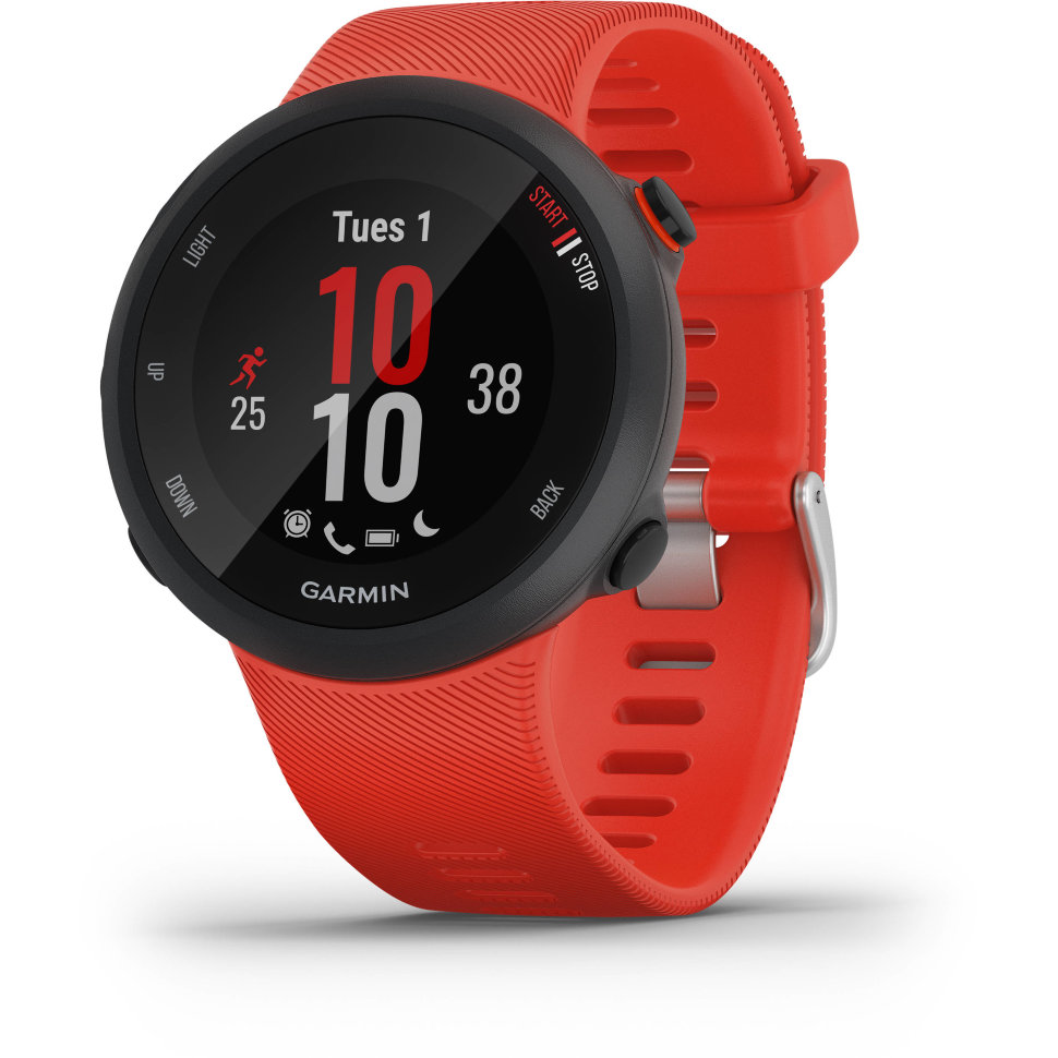 Спортивні годинник Garmin Forerunner 45 Large