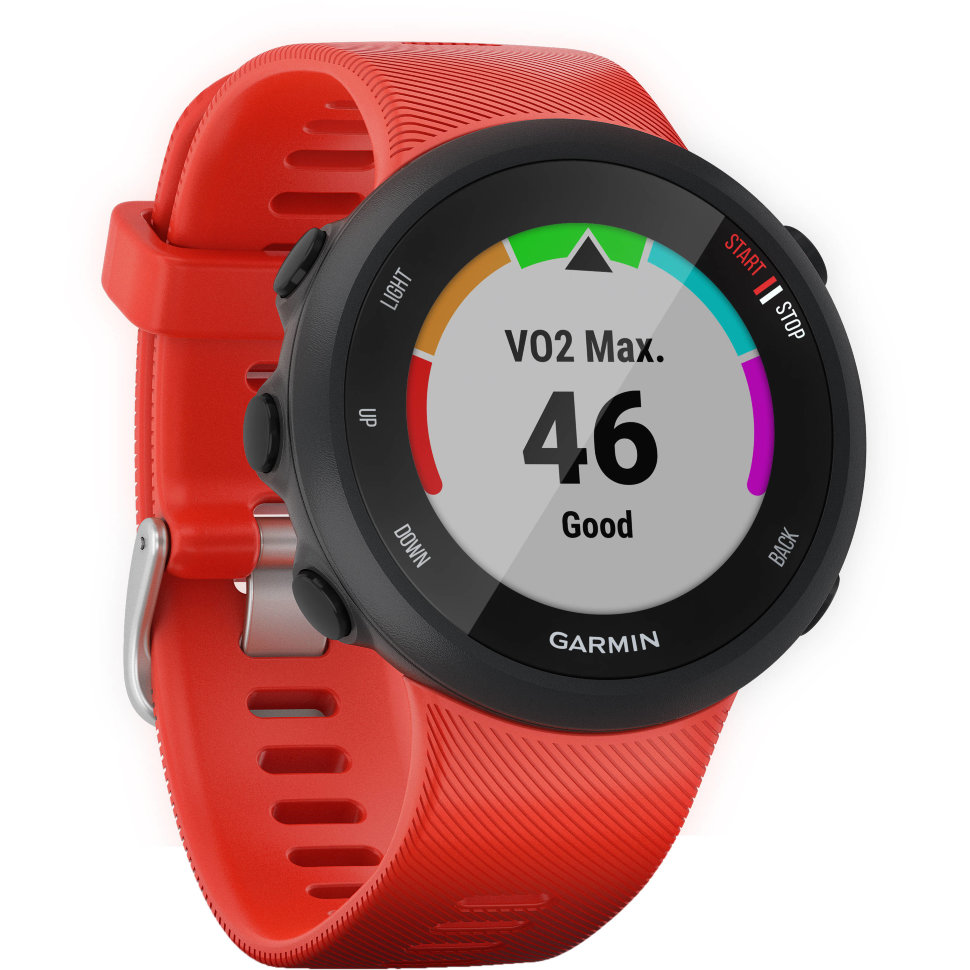 Спортивні годинник Garmin Forerunner 45 Large