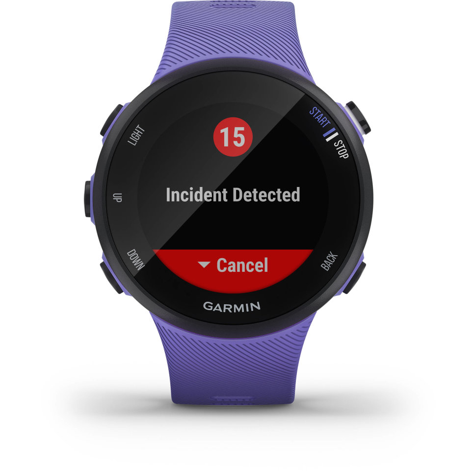 Спортивные часы Garmin Forerunner 45 Small