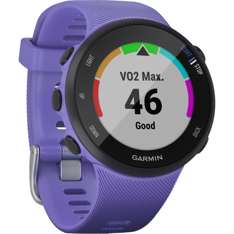 Спортивные часы Garmin Forerunner 45 Small