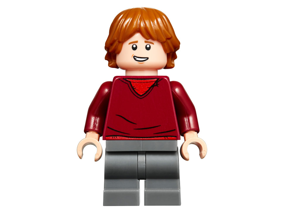 Конструктор Lego Harry Potter: Хижина Хагрида: спасение Клювокрыла (75947)