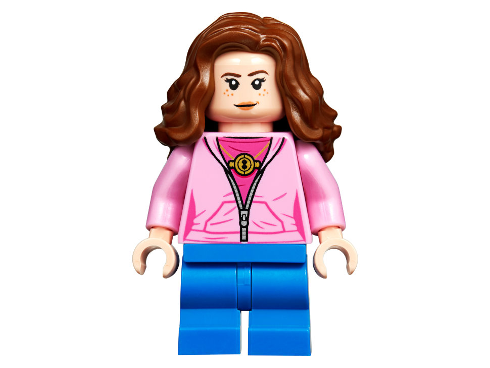 Конструктор Lego Harry Potter: Хижина Хагрида: спасение Клювокрыла (75947)