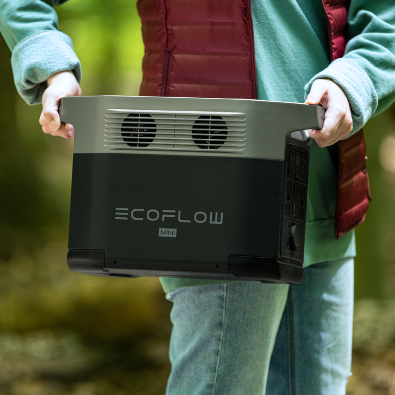 Зарядная станция EcoFlow DELTA Mini (DELTAmini-EU) (882 Вт·ч / 1400 Вт)