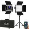 Набір постійного LED відеосвітла GVM 800D-RGB (800D-RGB-2L)