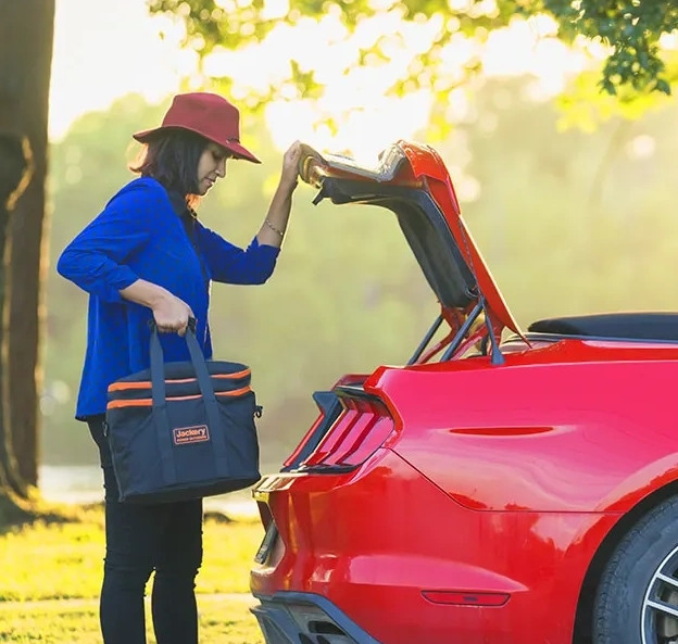 Сумка для электростанции Jackery Explorer 500 (Case-Bag-Explorer-500)