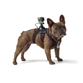 Кріплення на собаку MSCAM Fetch Dog до екшн-камер GoPro, SJCAM, DJI