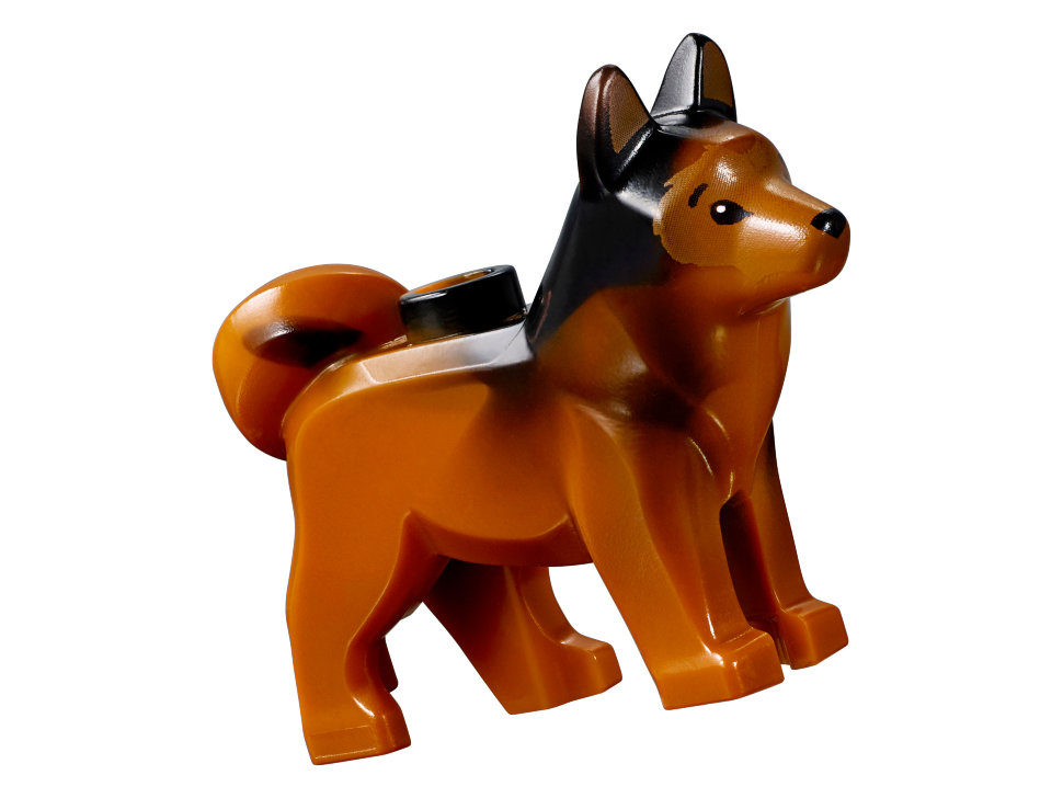 Конструктор Lego Jurassic World: поединок с бариониксом: охота за сокровищами (75935)