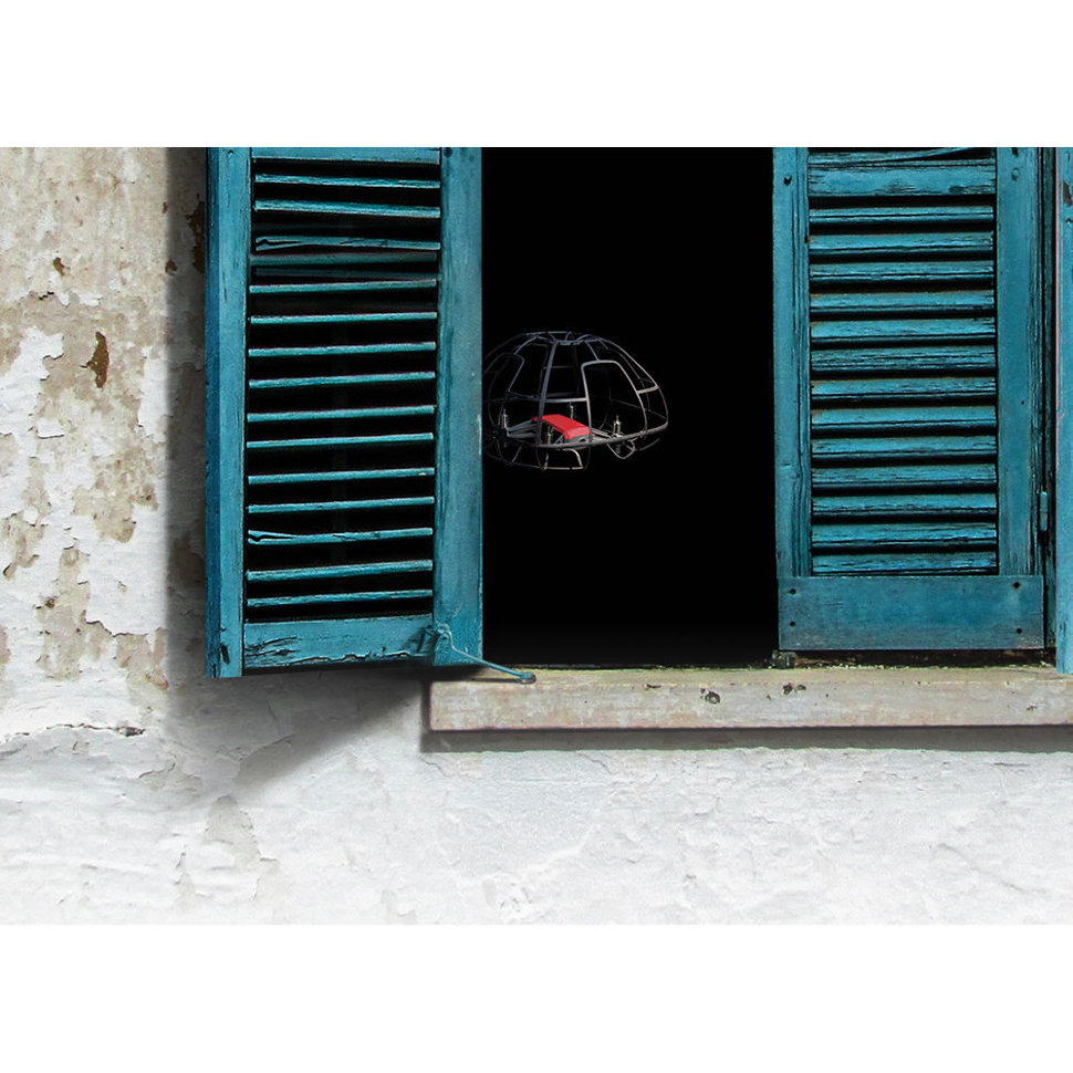 Защита пропеллеров Pgytech Protective Cage for Tello Drone (P-WJ-001)