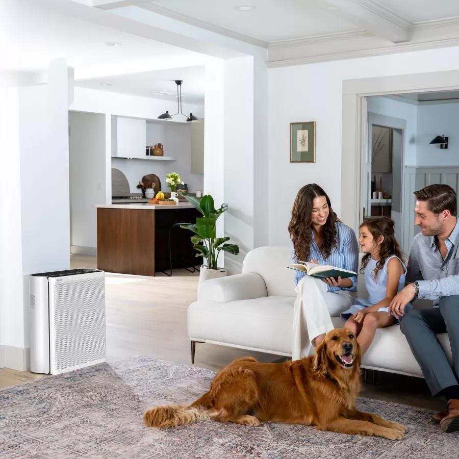 Очиститель воздуха Levoit VeSync EverestAir Smart True HEPA LAP-E551S-AEUR (HEAPAPLVSEU0148Y)