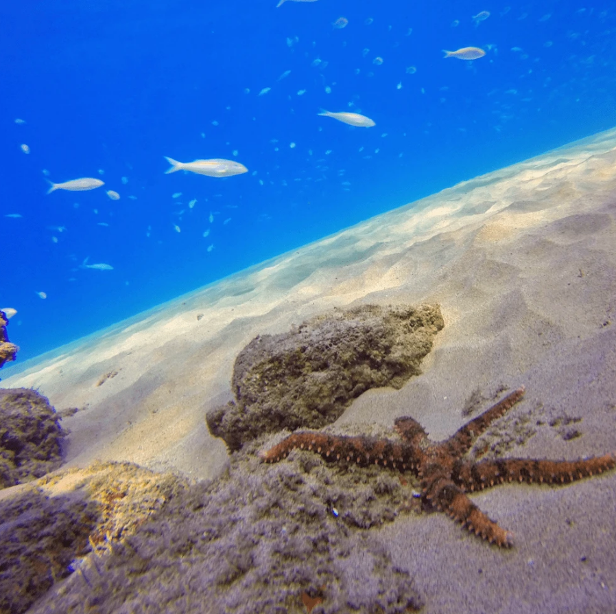 Набір з 3 фільтрів PolarPro для GoPro HERO7, HERO6, HERO5 Black в корпусі Super Suit (H5B-1016-SS)