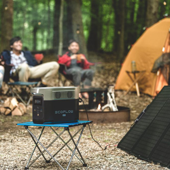 Комплект EcoFlow DELTA Mini + 220W Solar Panel (BundleDM+SP220W) (882 Вт·ч / 1400 Вт)