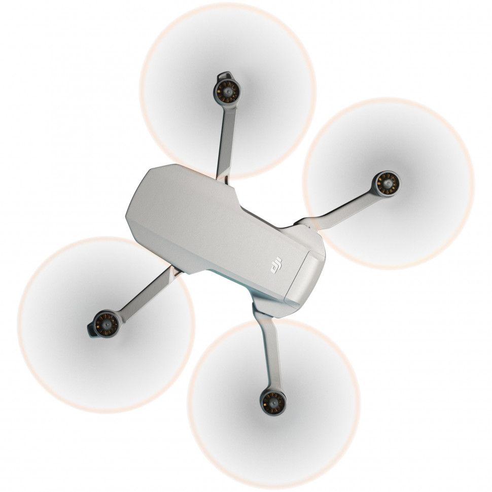 Квадрокоптер DJI Mini 2 (CP.MA.00000312.03)