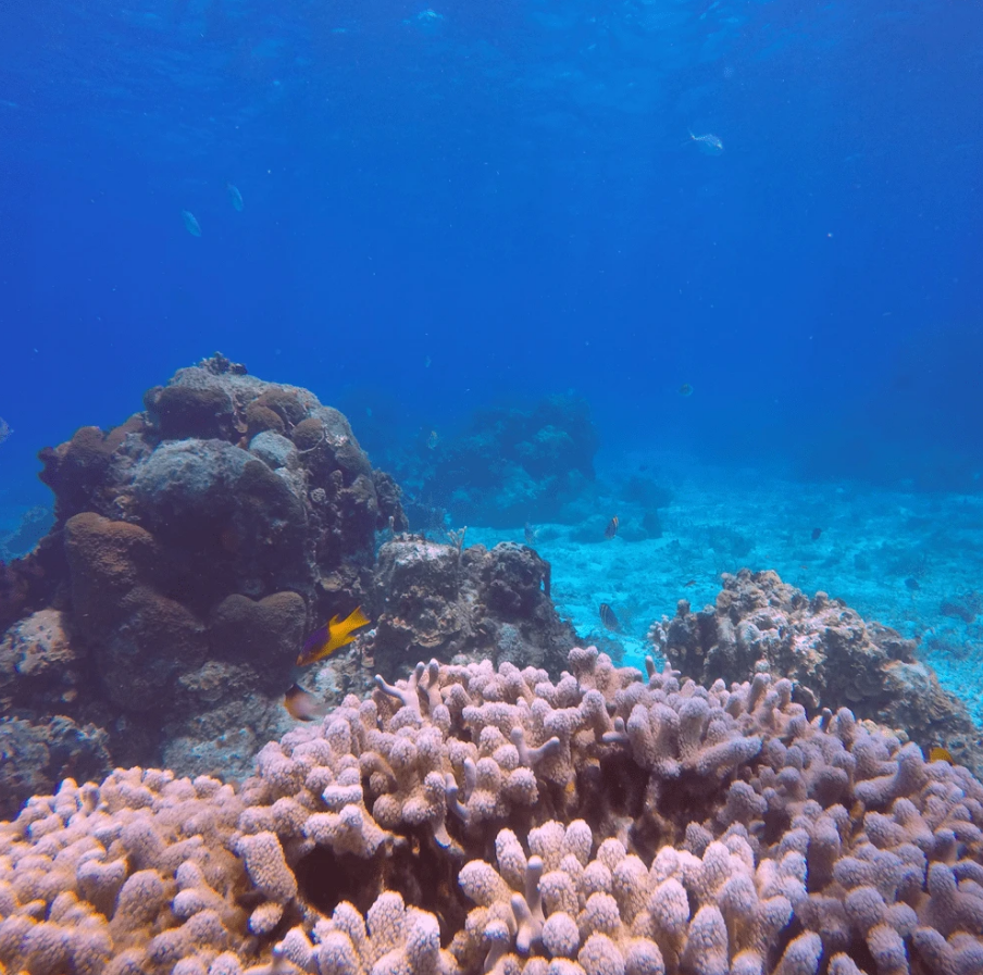 Красный подводный фильтр PolarPro Red Filter для GoPro HERO7, HERO6, HERO5 Black Super Suit (H5B-1001-SS)