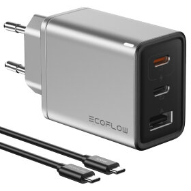 Зарядное устройство EcoFLow RAPID Charger 65W (EFA-65W-GAN-CHARGER-EU)