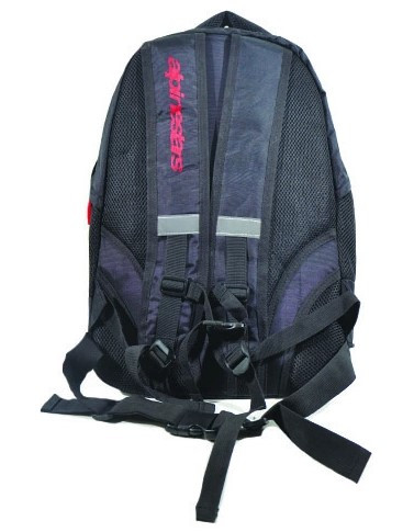 Моторюкзак Alpinestars RAC-11 Black (00-00240945)