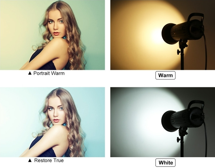 Постоянный свет Puluz PU3061EU Bi-Color