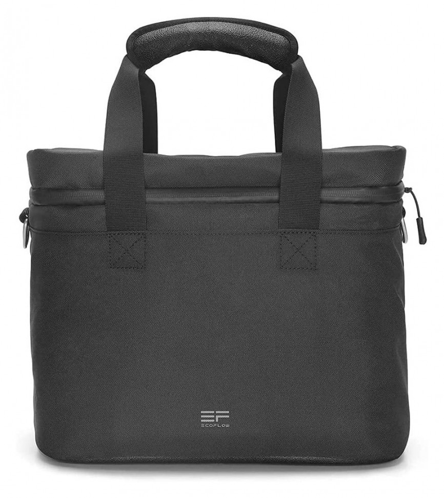 Сумка EcoFlow DELTA mini Bag (BDELTAmini-US)