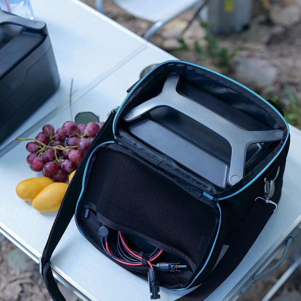 Сумка EcoFlow DELTA mini Bag (BDELTAmini-US)