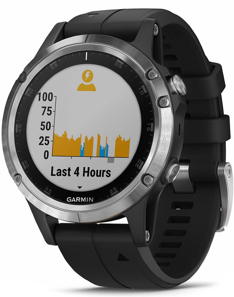 Спортивные часы Garmin Fenix 5 Plus Silver with Black Band (010-01988-11)