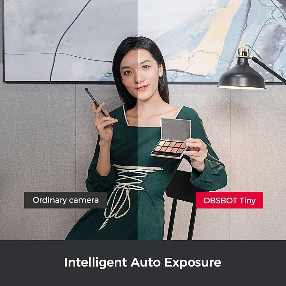 Розумна веб-камера OBSBOT Tiny FullHD (OBSBOT-TINY)