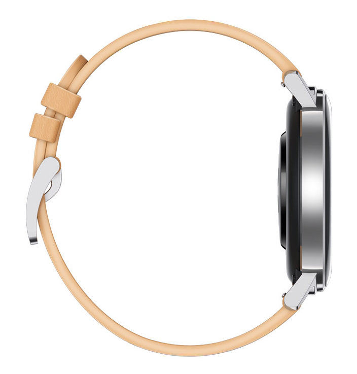 Смарт-часы  Huawei GT 2 Classic Edition 42mm (DAN-B19) Gravel Beige (55024475)